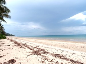 シェラトン・ミラージュポートダグラスリゾート（オーストラリア・ポートダグラス）のビーチ