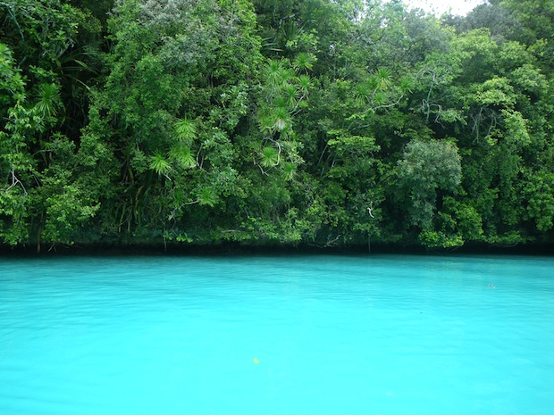 パラオ共和国のミルキーウェイ(The Milky Way Lagoon, Republic of Palau)