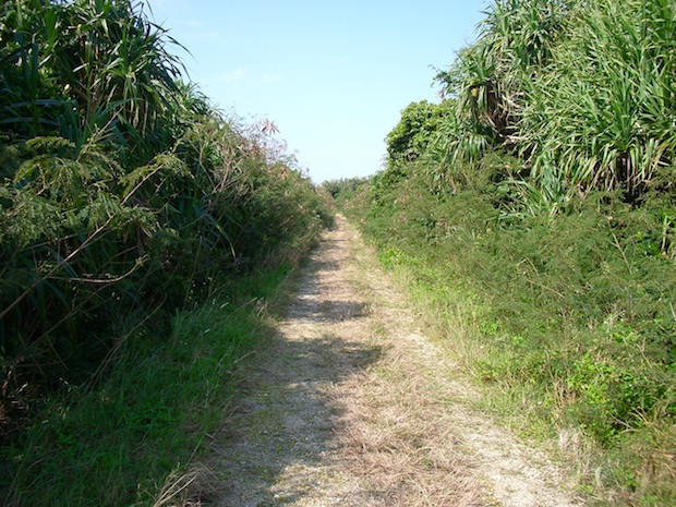 沖縄久高島北部への道(Way to the north in Kudaka island)