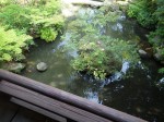 湯回廊菊屋(静岡県伊豆市修善寺)の部屋からみた中庭