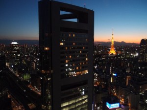 ロイヤルパークホテルザ汐留（旧：ロイヤルパーク汐留タワー）(東京都港区)の部屋からの夜景