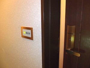 インターナショナルガーデンホテル成田の部屋、8119号室