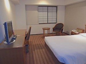 インターナショナルガーデンホテル成田の部屋全体