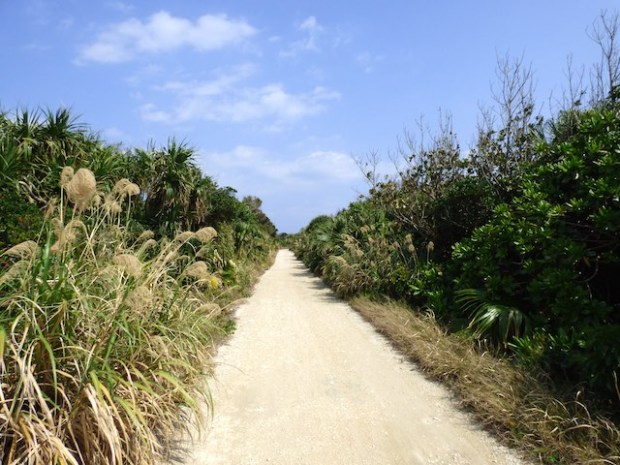 久高島北東のカペール岬へ続く一本道(Northeast path at Kudaka-jima[Kudakajima island], Okinawa-ken)