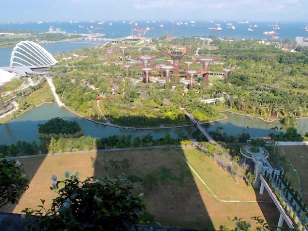 マリーナベイサンズの部屋からみたガーデンズバイザベイ(The view of Gardens by the Bay at the room of Marinabaysands, Singapore)
