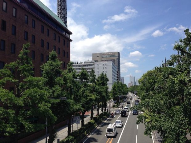 横浜、山下公園前の通り(The street in front of Yamashita Park, Kanagawa-ken Japan)