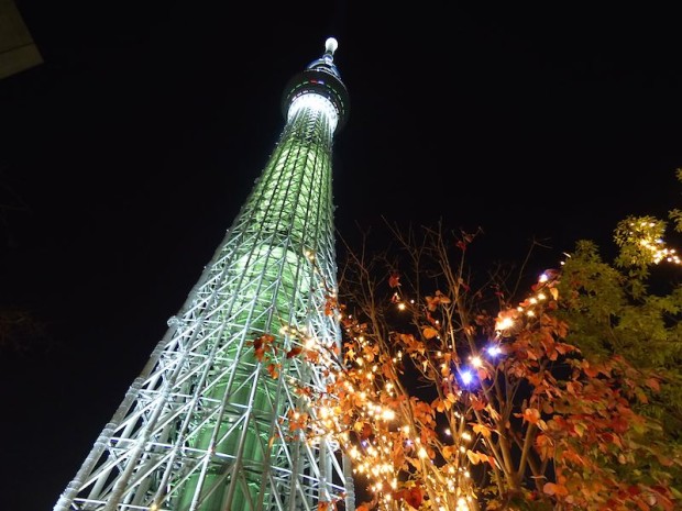 東京スカイツリーの夜景(The night view of the Tokyo Sky Tree, Tokyo Japan)